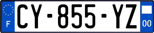 CY-855-YZ