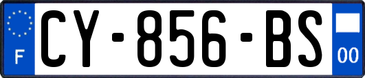 CY-856-BS