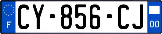 CY-856-CJ