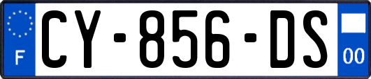 CY-856-DS