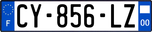 CY-856-LZ