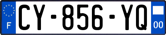 CY-856-YQ