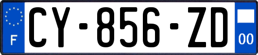 CY-856-ZD