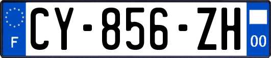CY-856-ZH