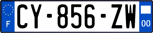 CY-856-ZW