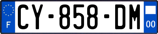 CY-858-DM