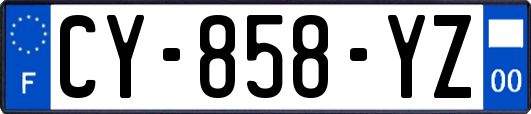 CY-858-YZ