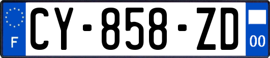 CY-858-ZD