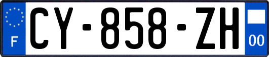CY-858-ZH