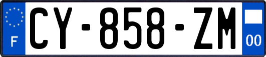 CY-858-ZM