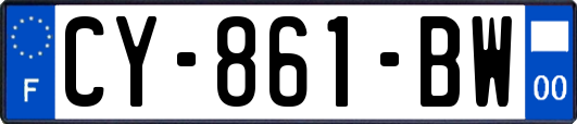 CY-861-BW