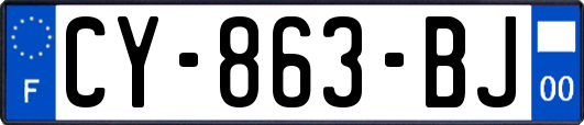 CY-863-BJ