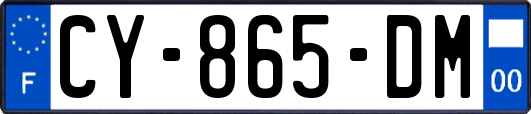 CY-865-DM