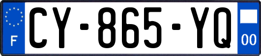 CY-865-YQ