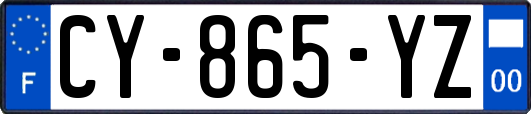 CY-865-YZ