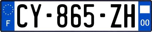CY-865-ZH