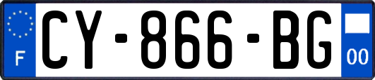 CY-866-BG