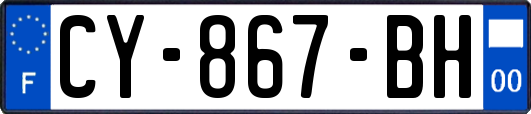 CY-867-BH