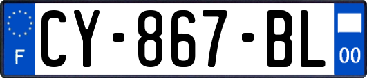 CY-867-BL