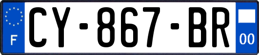 CY-867-BR