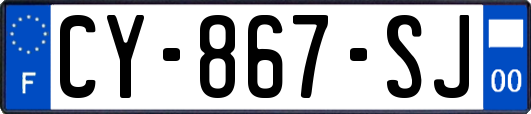 CY-867-SJ