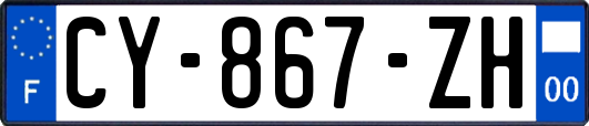 CY-867-ZH