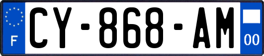 CY-868-AM