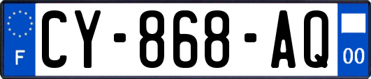 CY-868-AQ