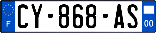 CY-868-AS