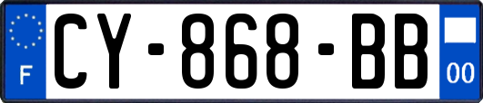 CY-868-BB