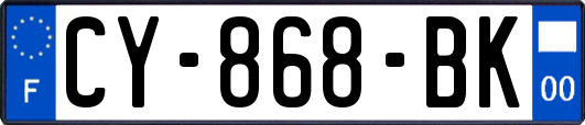 CY-868-BK