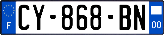CY-868-BN