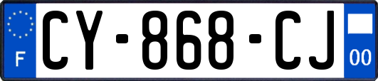 CY-868-CJ