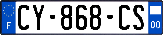 CY-868-CS