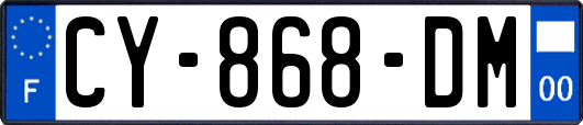 CY-868-DM