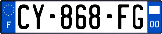 CY-868-FG