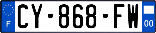 CY-868-FW