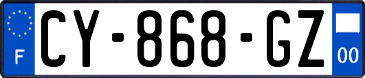 CY-868-GZ