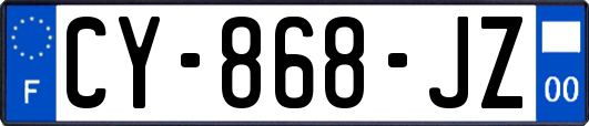 CY-868-JZ