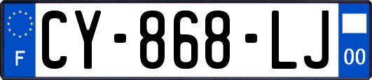 CY-868-LJ