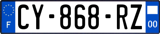 CY-868-RZ