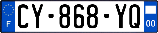 CY-868-YQ