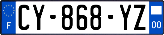 CY-868-YZ