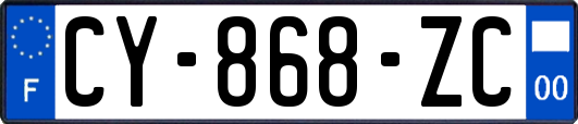 CY-868-ZC