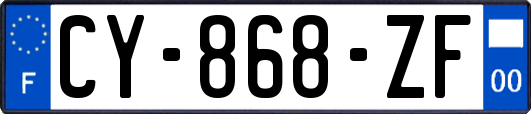 CY-868-ZF