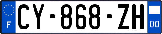 CY-868-ZH