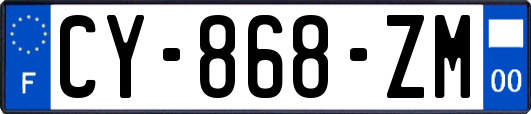 CY-868-ZM
