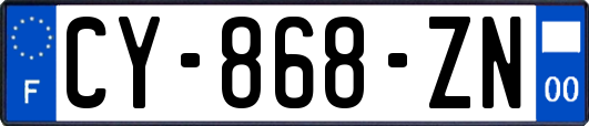 CY-868-ZN
