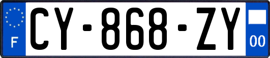 CY-868-ZY