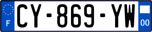 CY-869-YW